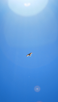 Image used under agreement with iStock.com